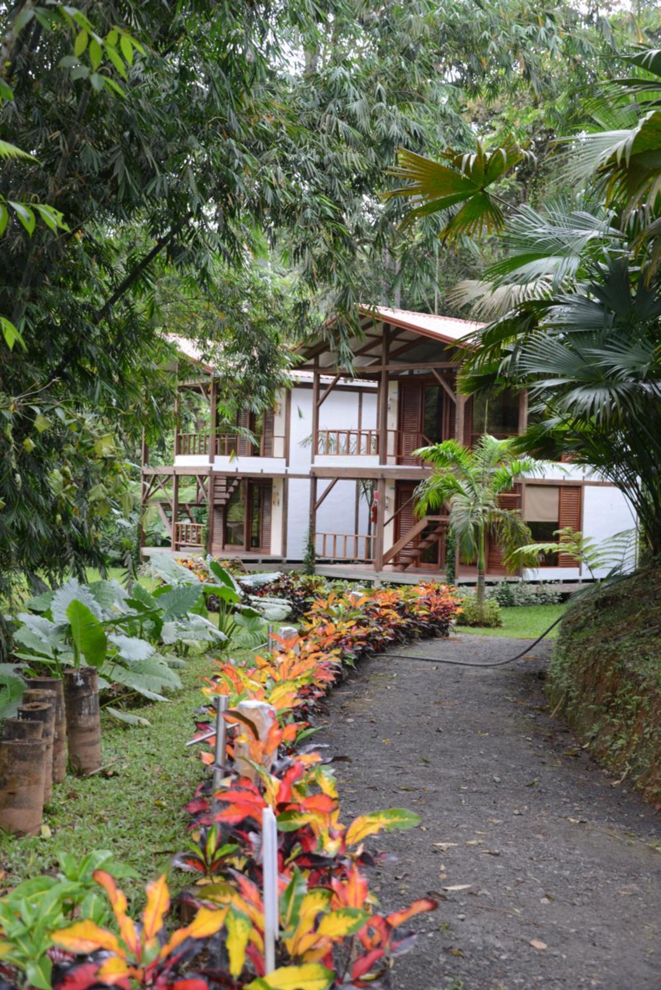 Cielo Verde Lodge Mashpi Exteriör bild
